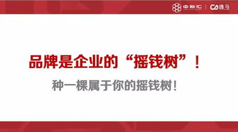连锁标准化,品牌连锁化