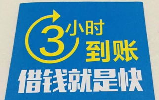 无抵押,无担保,信用借款