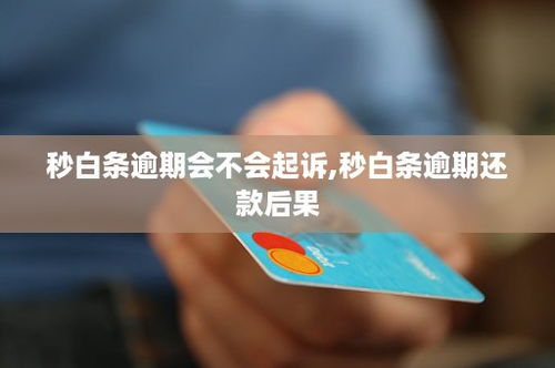 秒白条逾期会不会起诉,秒白条逾期还款后果