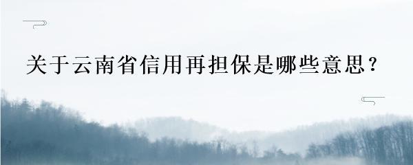 关于云南省信用再担保是哪些意思?