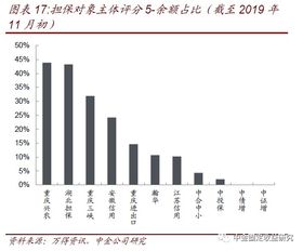 透过城投和非国企债担保解析担保公司 专业担保公司信用风险跟踪 一