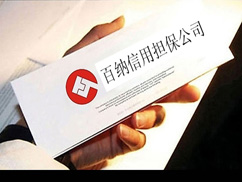 -百纳信用担保公司