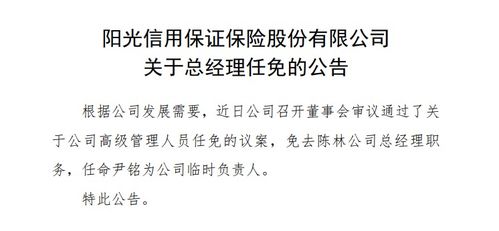 尹铭出任阳光信保临时负责人 曾任蚂蚁副总裁