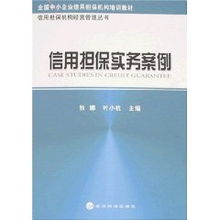 信用担保实务案例 叶小杭 狄娜
