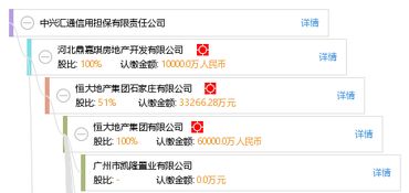 中兴汇通信用担保有限责任公司