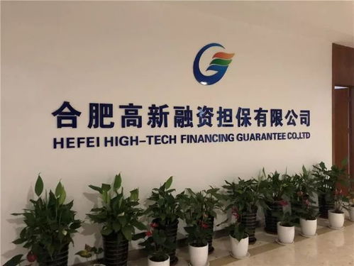 点赞 高新担保公司信用等级提升至a 级别