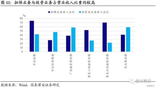 繁华落尽,回归初心 担保行业信用深度报告