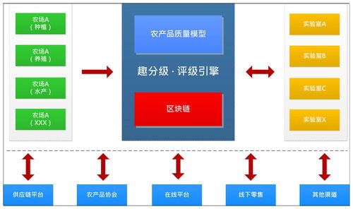 水果也有芝麻信用 他采化肥农残等数据 把苹果划分abc等级
