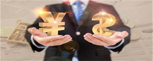 房贷担保人承担的责任