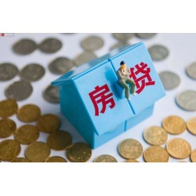 融资/担保