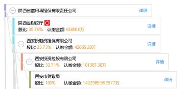 陕西省信用再担保有限责任公司