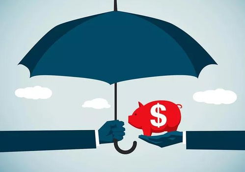 我国工程担保制度中的信用功能机制与信用担保——以工保网为例的视角